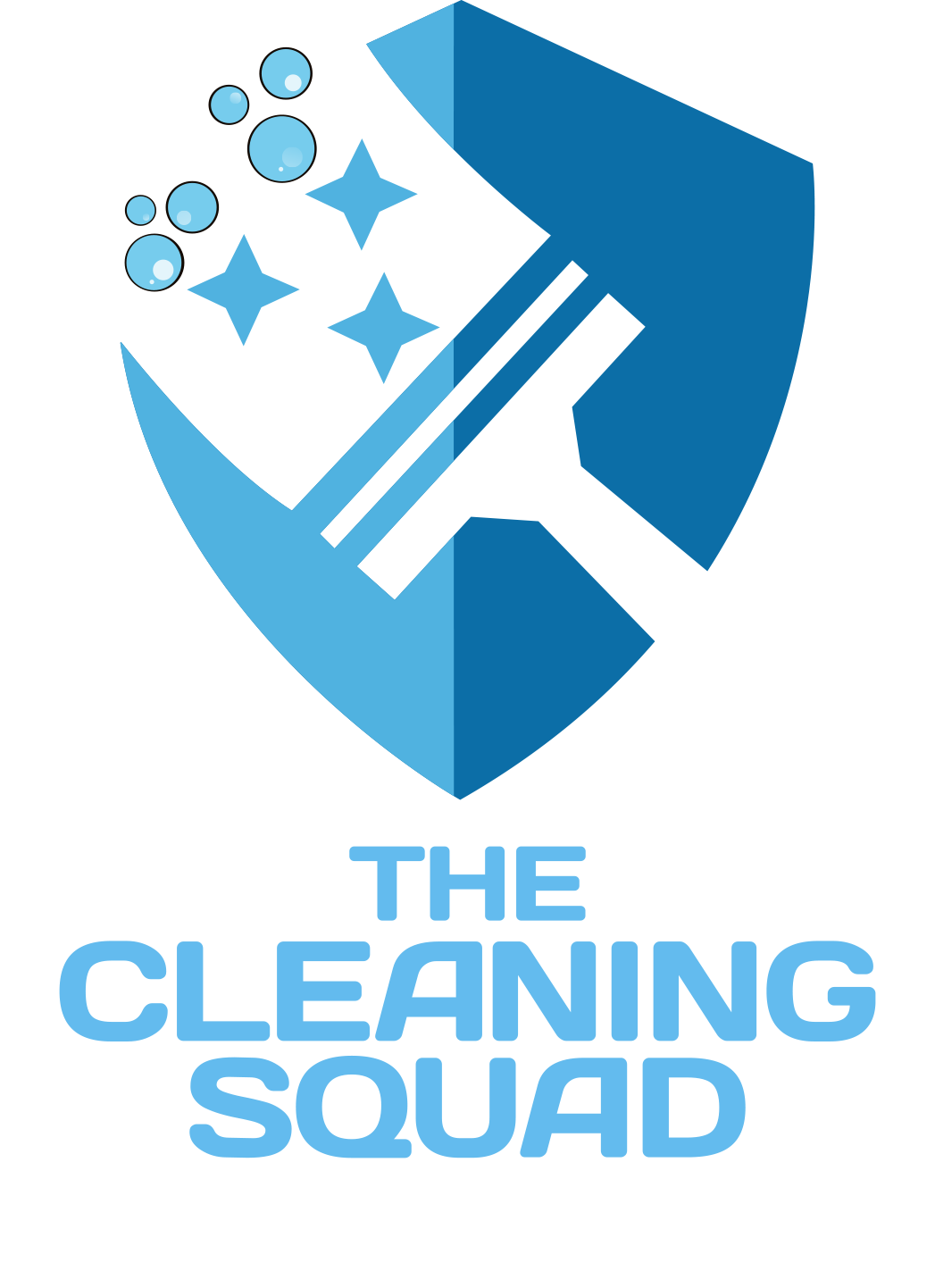 the cleaning squad