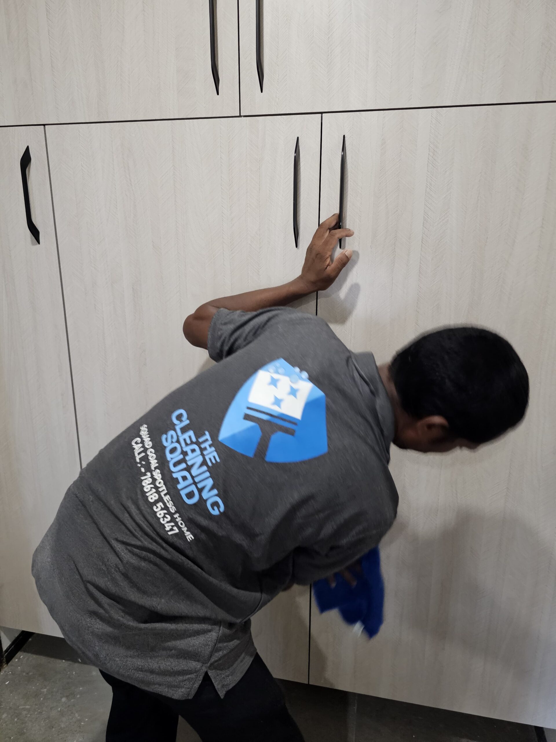 professional home cleaning services