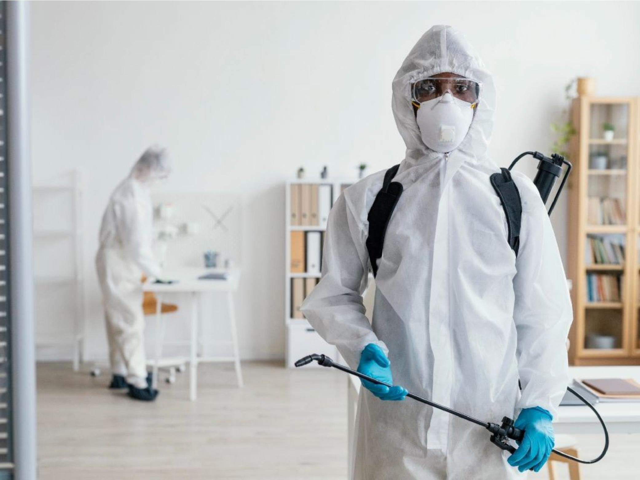 Why is Professional Pest Control Important in Ahmedabad?