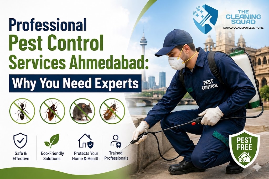 Professional Pest Control Services Ahmedabad: Why You Need Experts