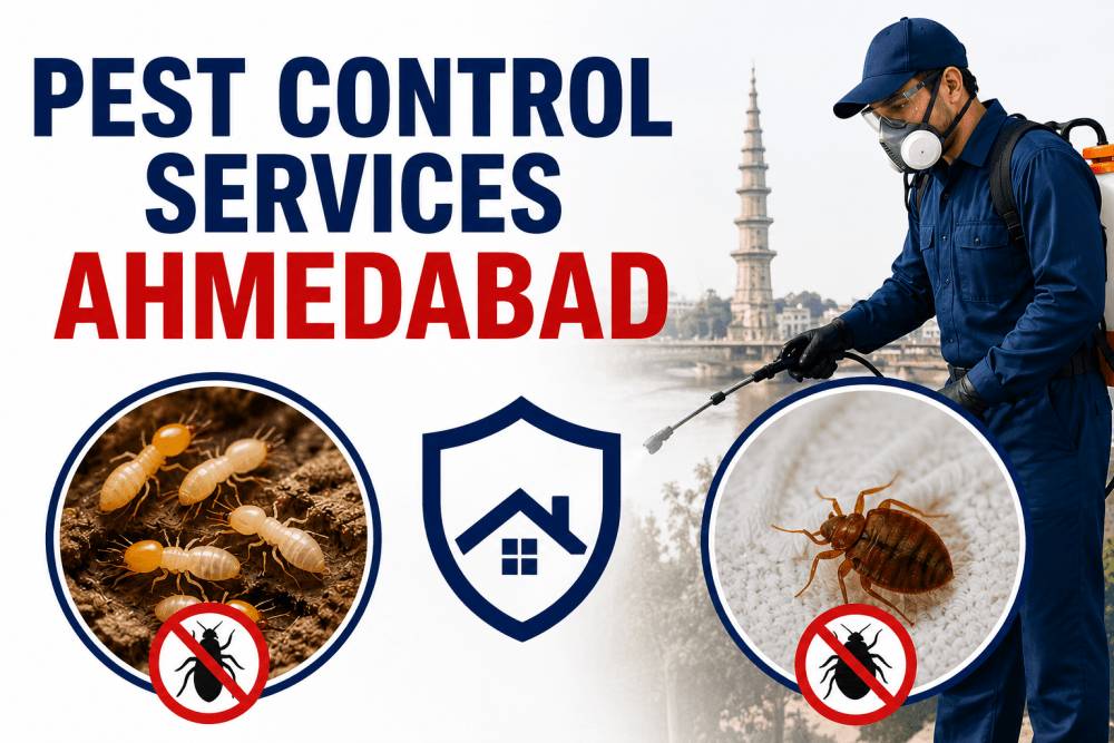 Pest Control Services Ahmedabad | Termite Treatment in Ahmedabad & Bed Bug Treatment Experts 